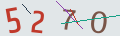 verifycode